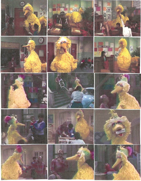 bigbird167.jpg