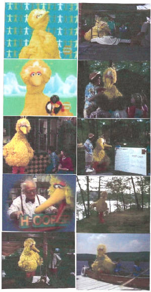 bigbird180.jpg