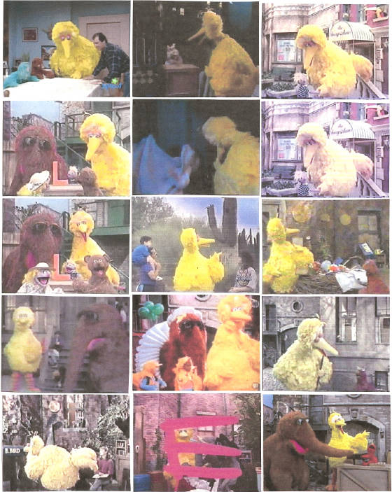 bigbird190.jpg