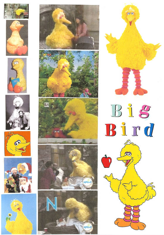 bigbird222.jpg