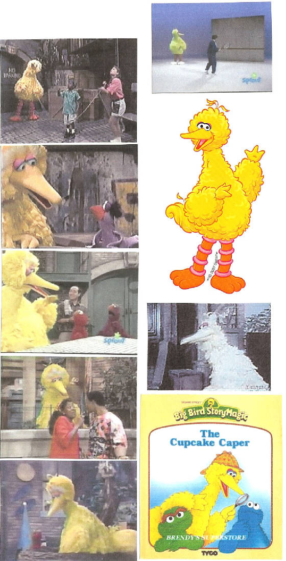 bigbird226.jpg