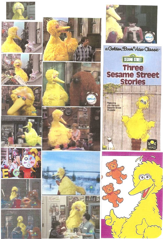 bigbird229.jpg