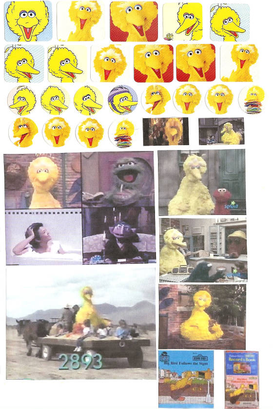 bigbird237.jpg