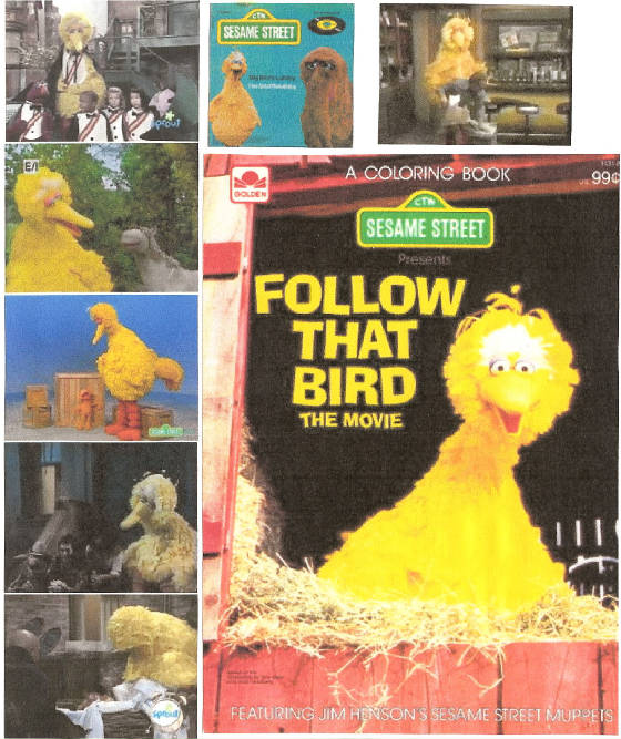 bigbird238.jpg