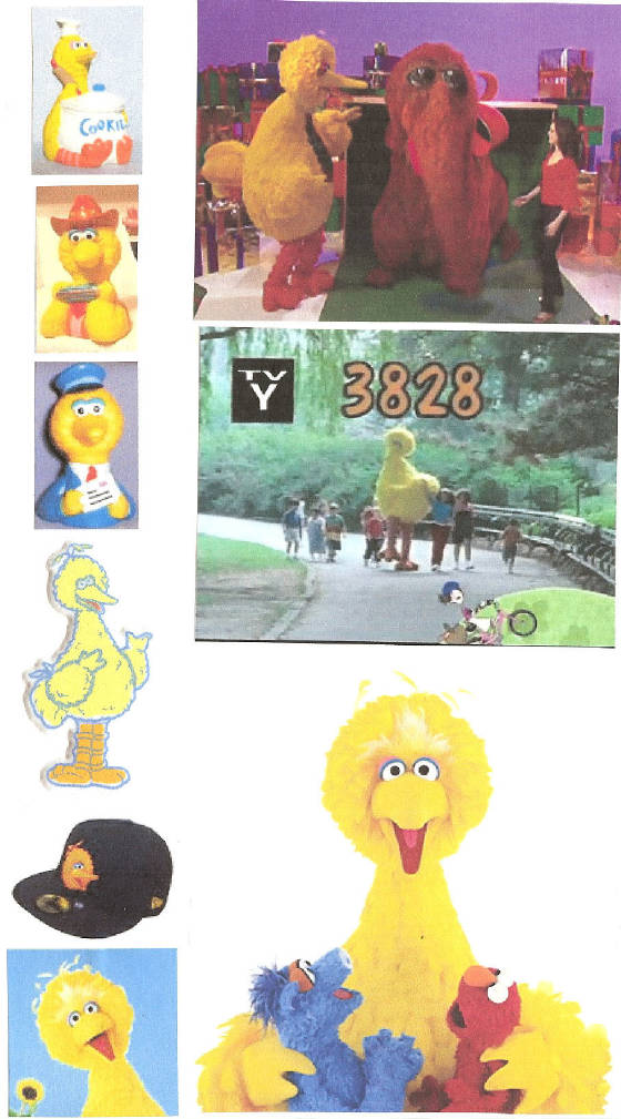 bigbird241a.jpg