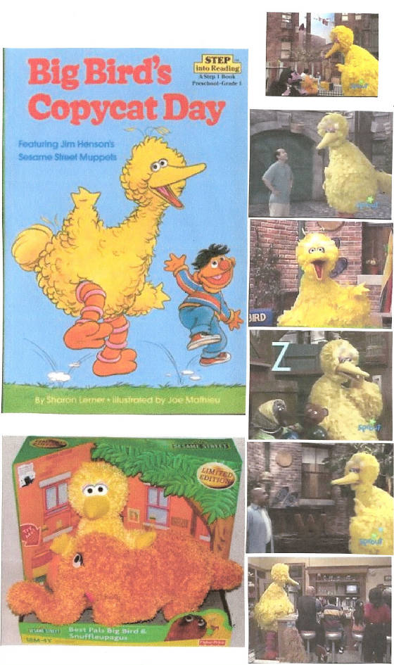 bigbird247a.jpg