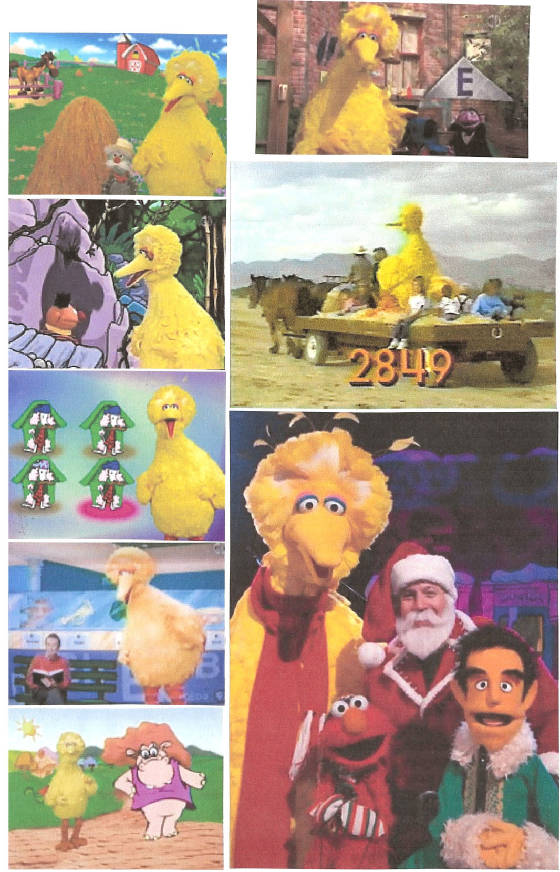 bigbird249.jpg