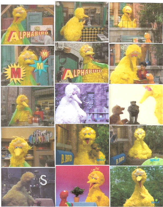 bigbird252.jpg