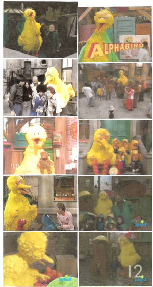 bigbird254.jpg