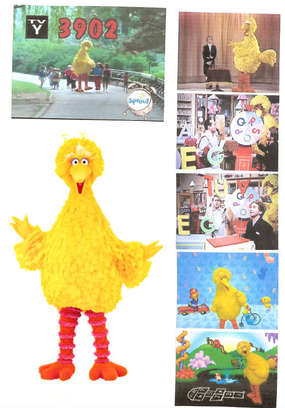 bigbird255.jpg