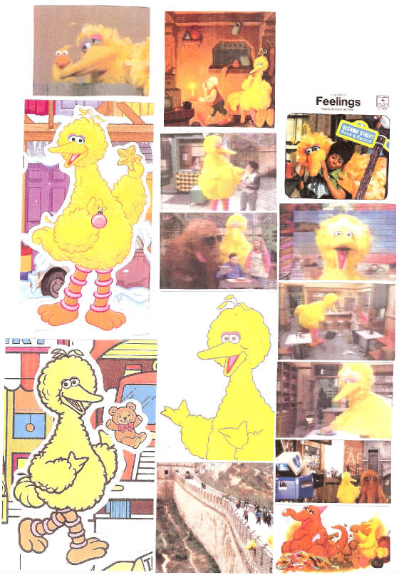 bigbird256.jpg