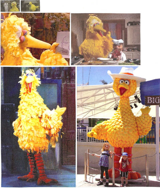 bigbird260a.jpg