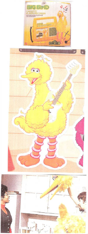 bigbird262a.jpg