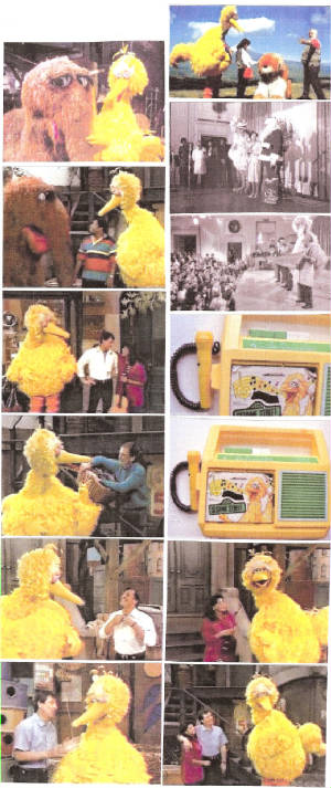 bigbird263.jpg