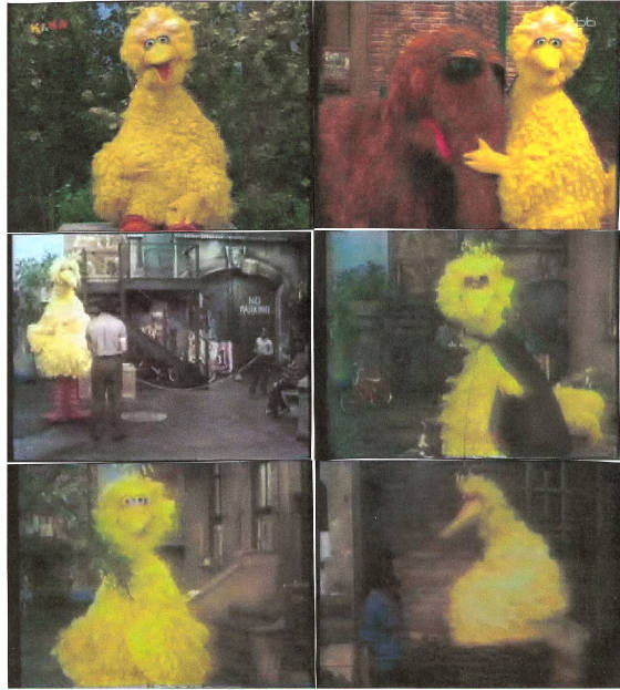 bigbird266.jpg