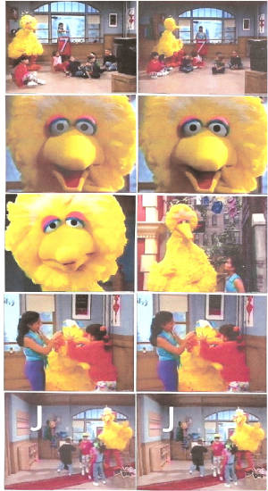 bigbird269.jpg