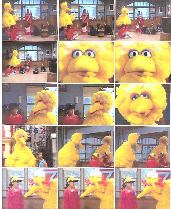 bigbird270.jpg