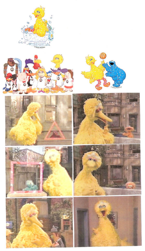 bigbird276.jpg