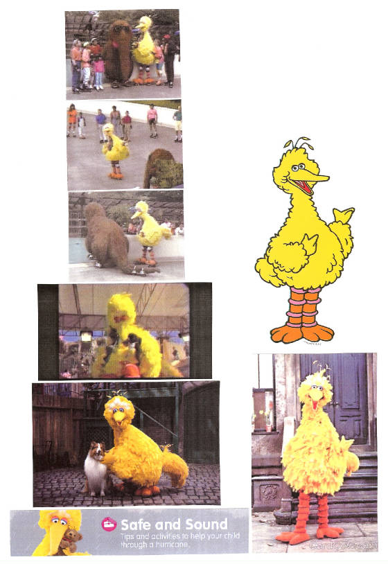 bigbird280.jpg