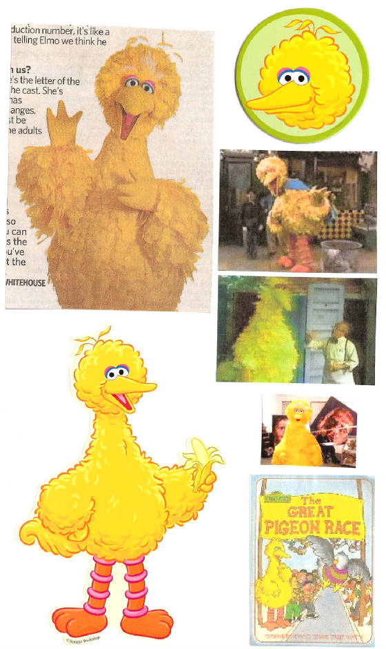 bigbird284.jpg