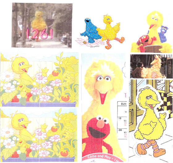 bigbird298.jpg