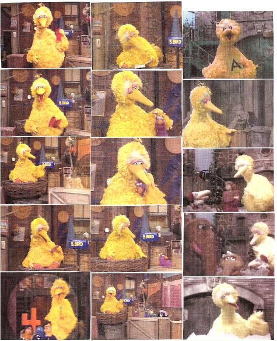 bigbird307.jpg