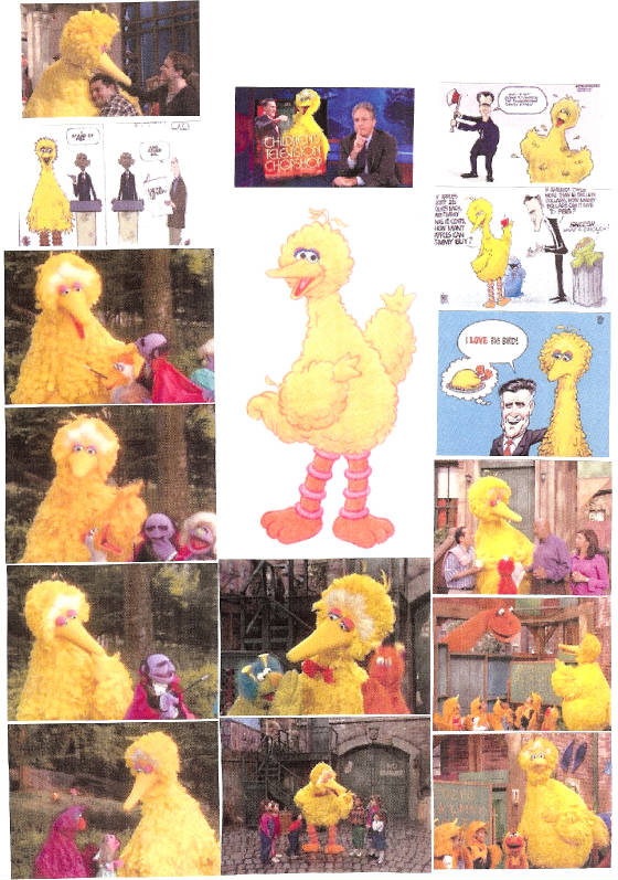 bigbird312.jpg