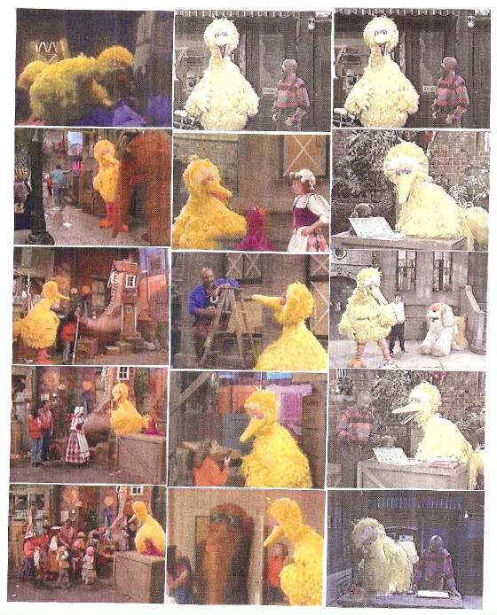 bigbird318.jpg