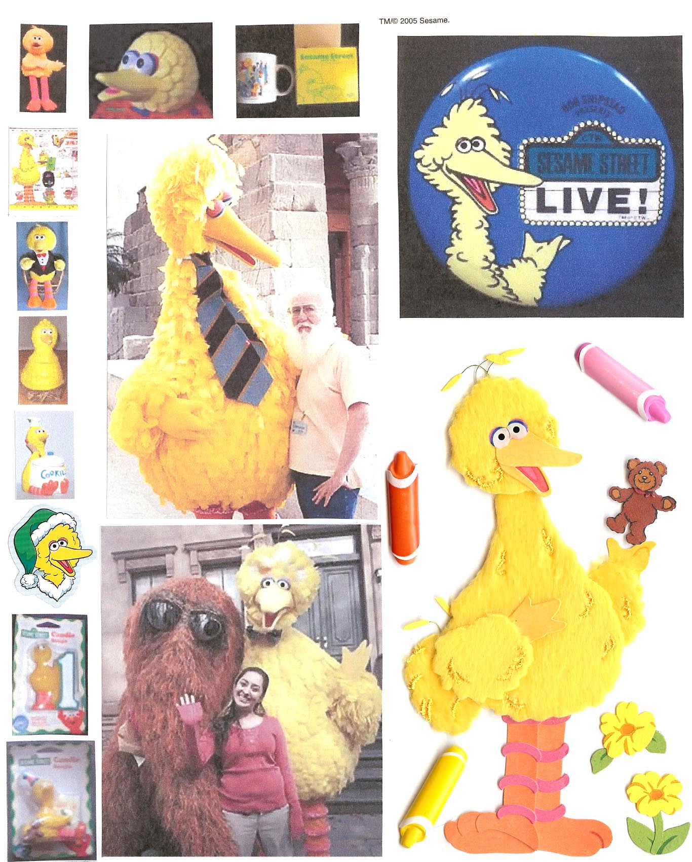 bigbird195.jpg