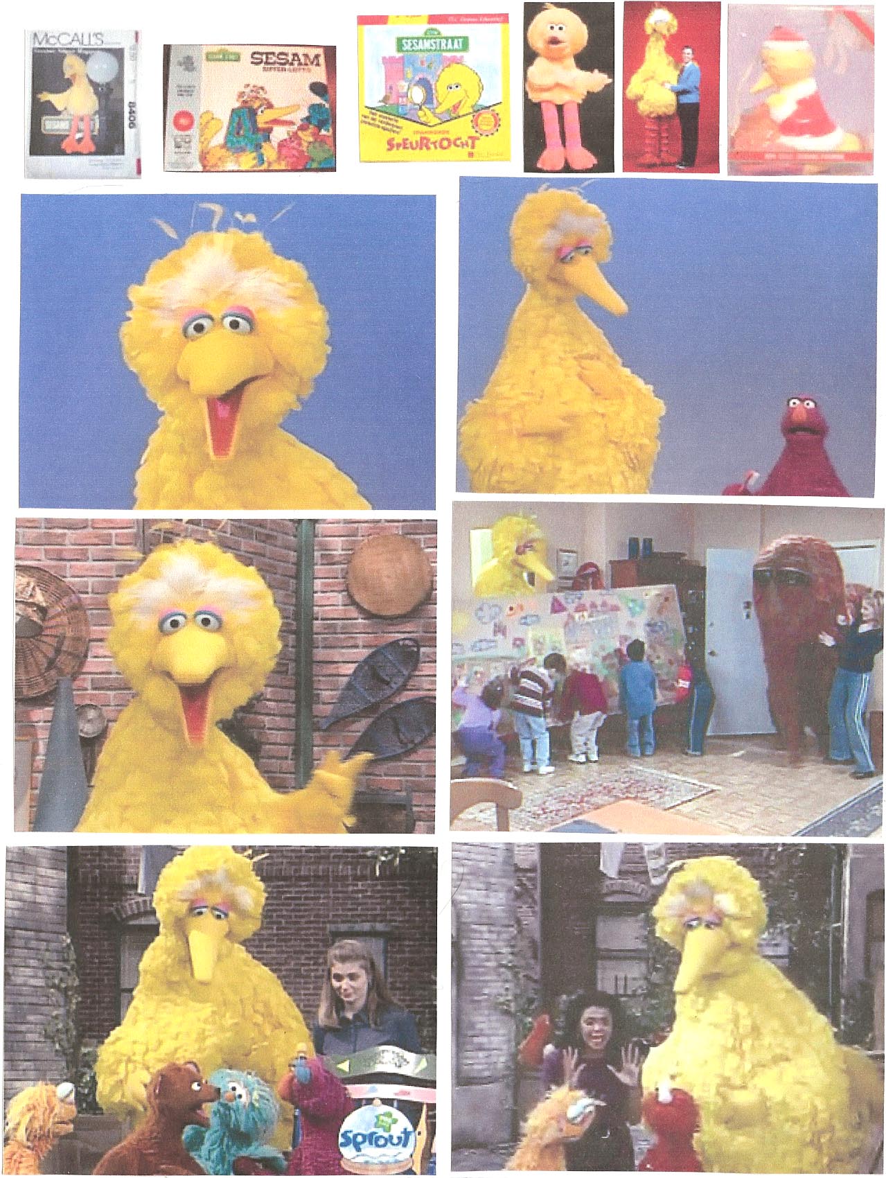 bigbird196.jpg