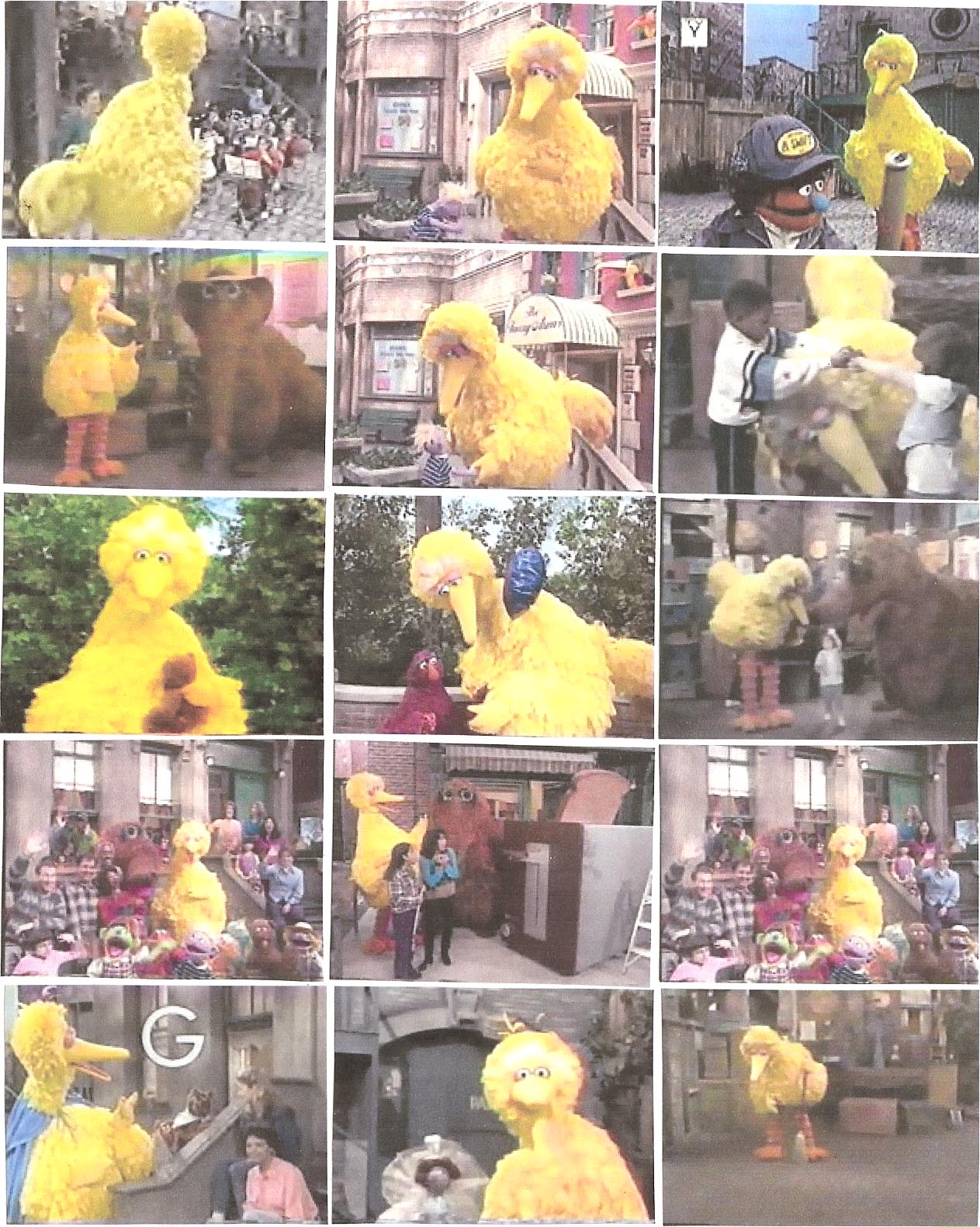 bigbird197.jpg