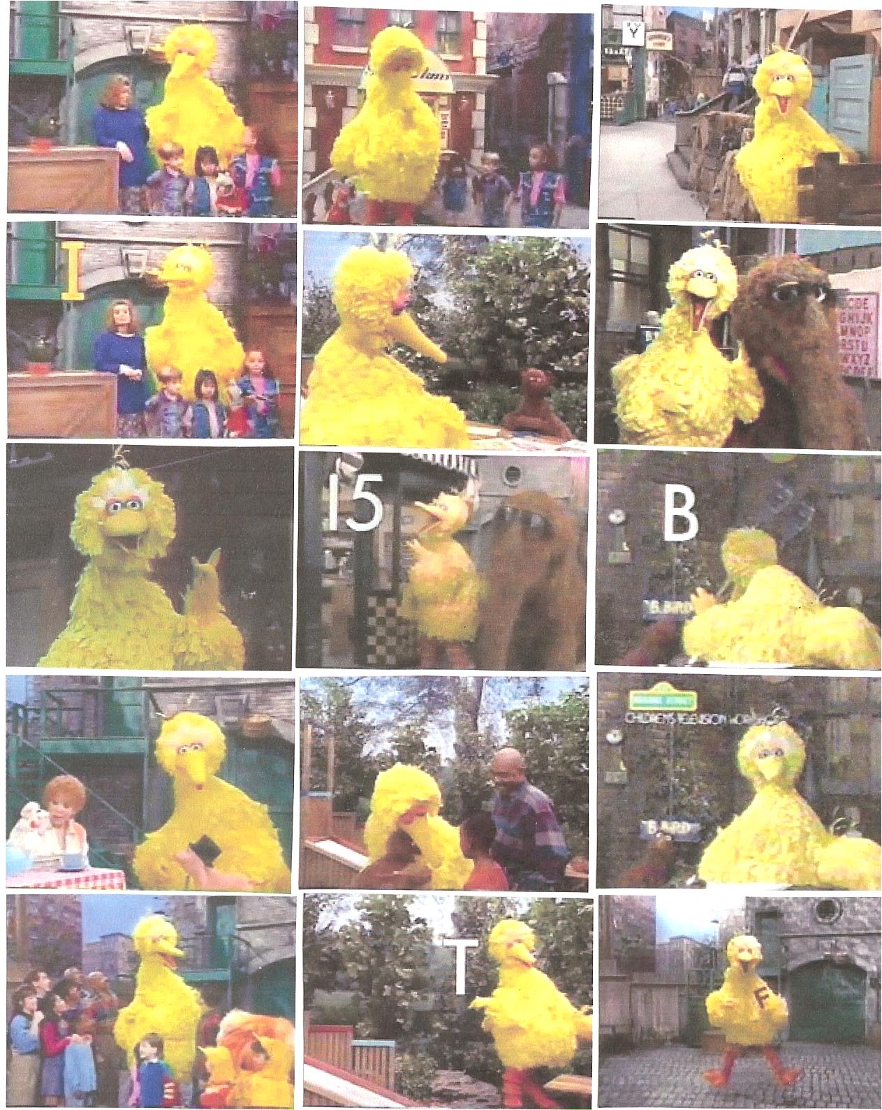 bigbird198.jpg