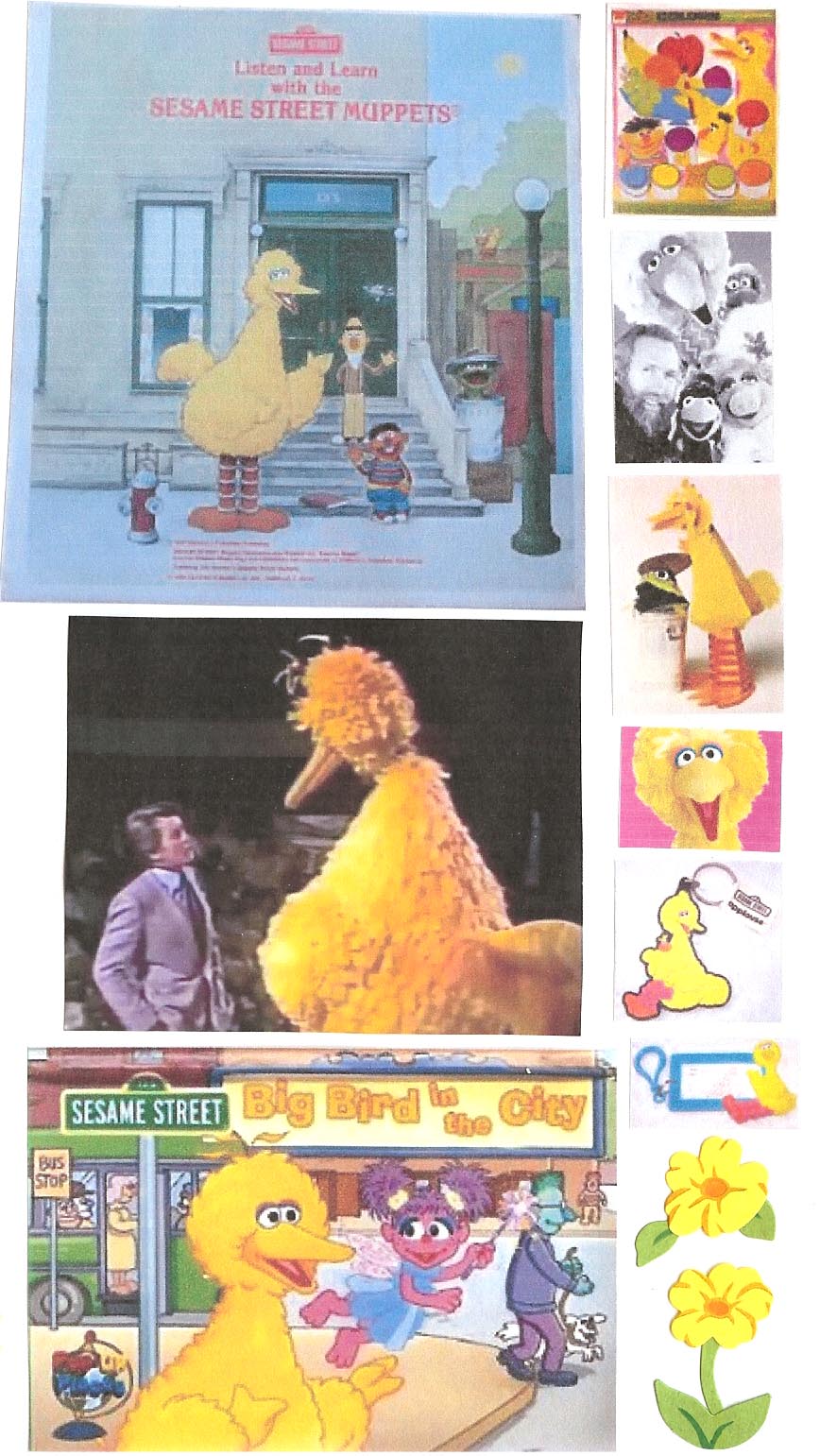 bigbird199.jpg