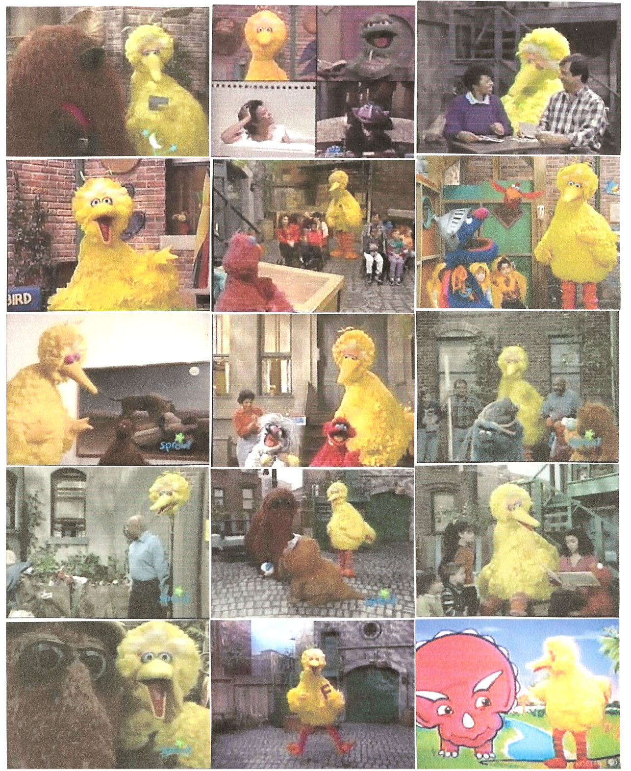 bigbird288.jpg