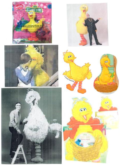 bigbird320.jpg