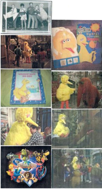 bigbird321.jpg