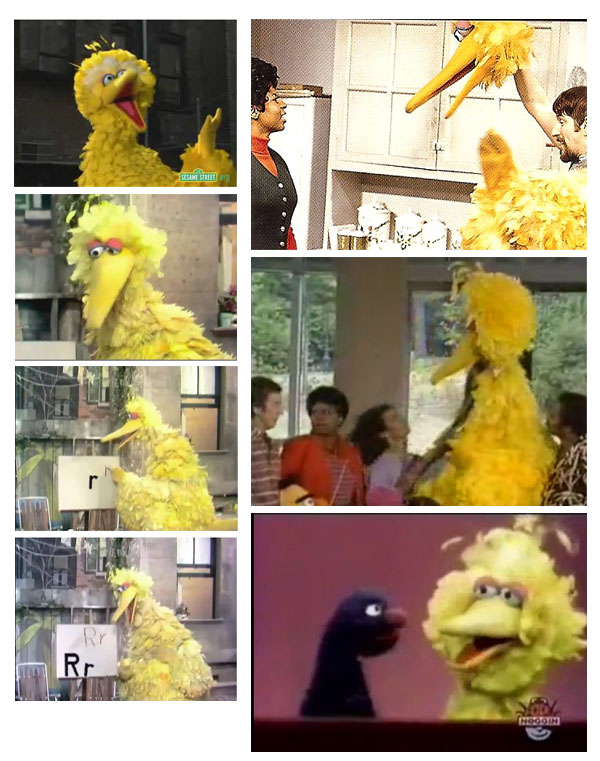 bigbirdspagehq.jpg